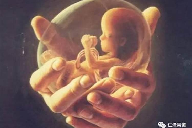 堕胎婴灵的归宿：探寻生命的奥秘
