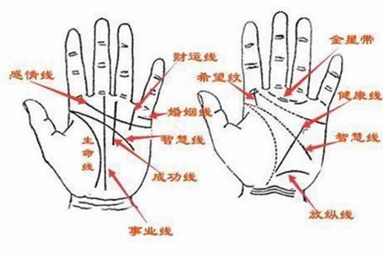 八字算姻缘：如何解析命运中的婚姻线？