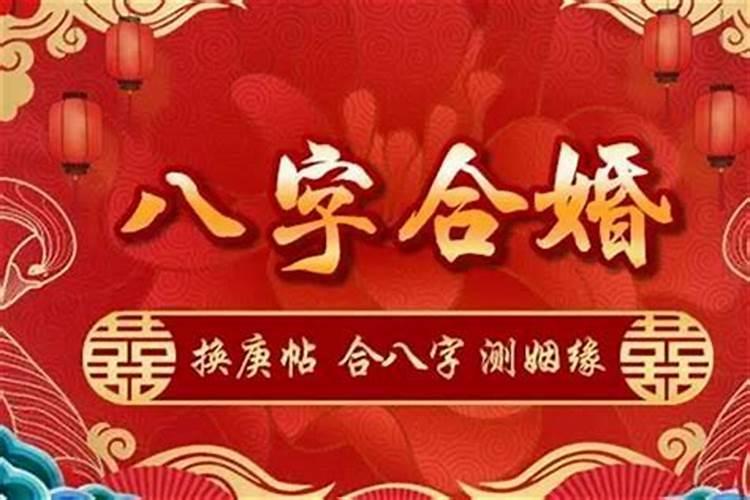 八字合婚：属猫与属龙的姻缘如何？？