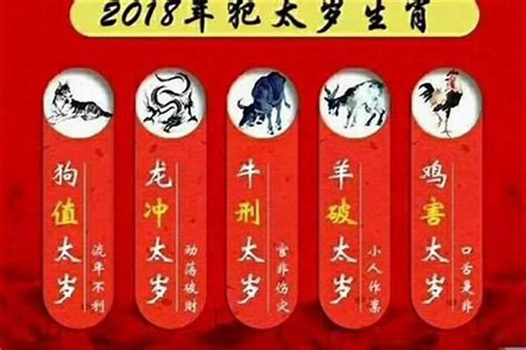 属猪的2024犯太岁吗？