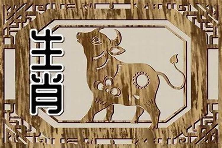 属牛的婚配什么属相好：八字命理学的解读与建议？